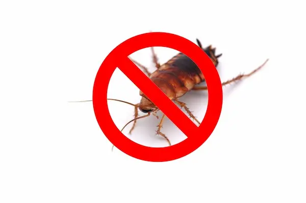 exterminator exterminatormuskoka
